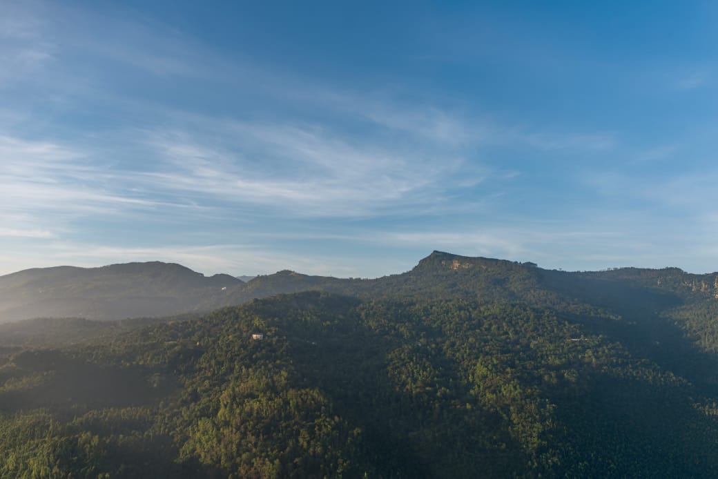 View