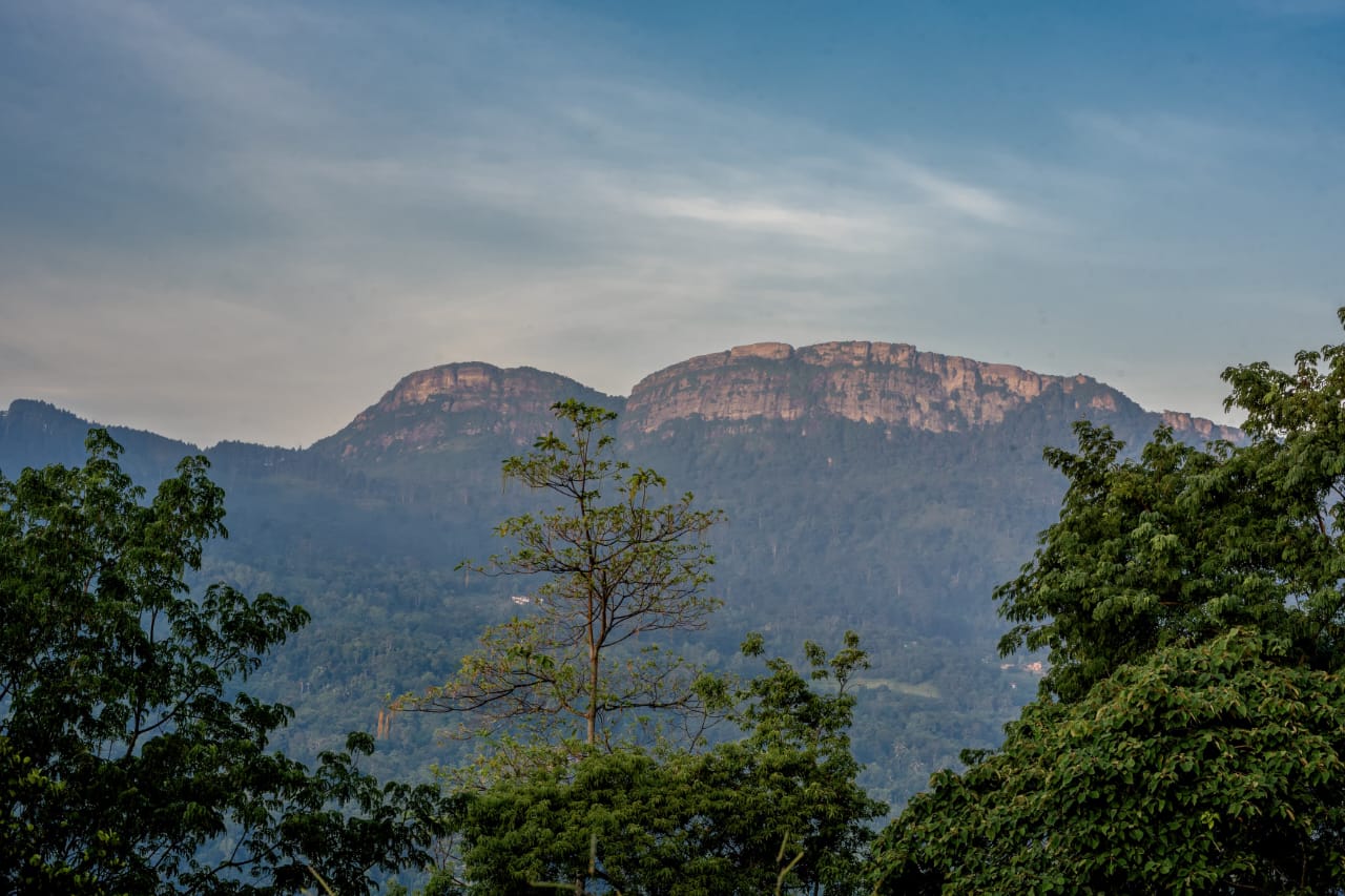 Sunset view